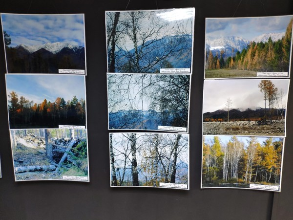 Выставка «Природа родной Бурятии»