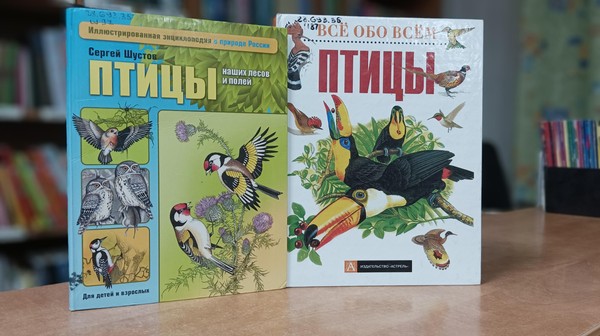 Познавательная программа «Синичкин день»