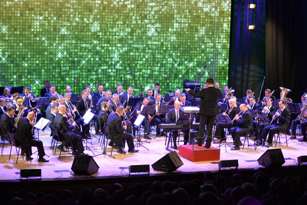 Концерт «С песней по жизни»