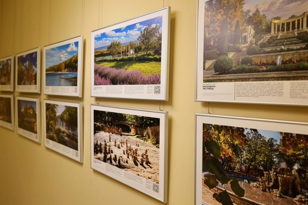 Презентация проекта фотографа Василия Дейнеки