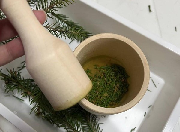 Интерактивная программа «Зеленый фронт: лекарственные травы в годы войны»