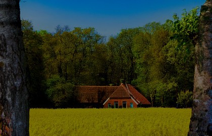 К 130-летию Сергея Есенина «В сердце светит Русь»