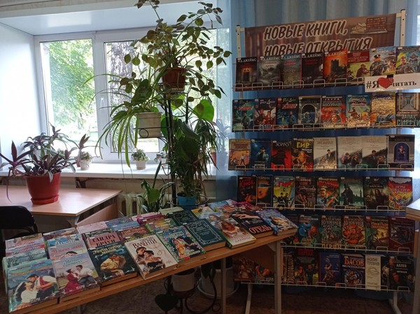 День информации «Новинки из книжной корзинки»