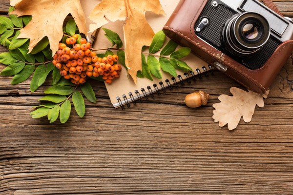 Фотоконкурс-онлайн «Есть в осени свое очарованье»