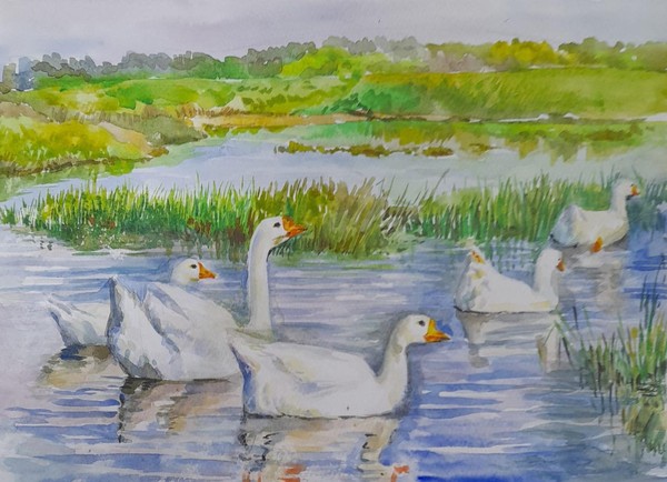 Выставка детского рисунка «Братья наши меньшие»