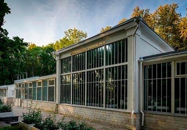 Лекция «Багатели» В. Кандинского и народная традиция живописи на стекле»