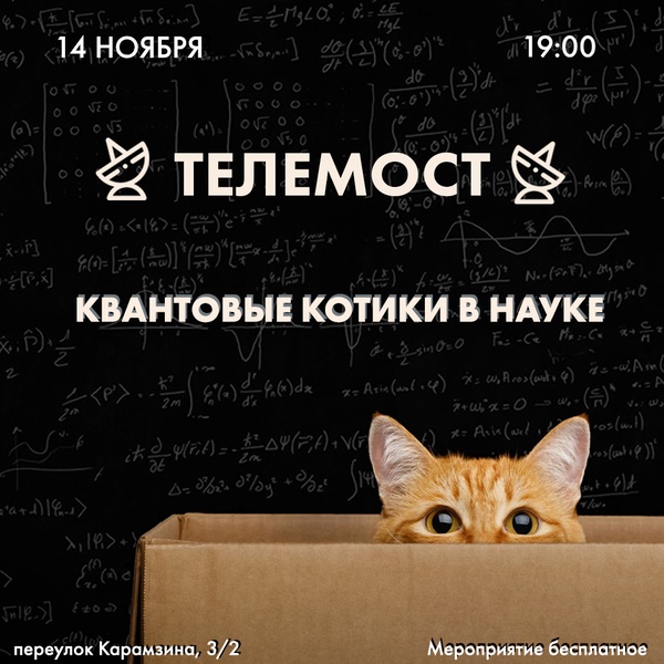 Телемост «Квантовые котики в науке»
