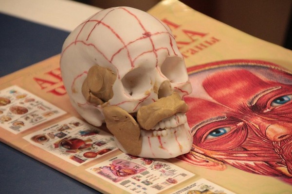 Мастер-класс «Воссоздавая лица»