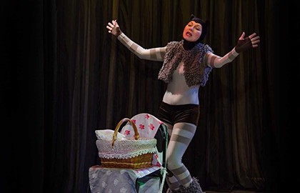 Кошка, которая гуляла, где хотела