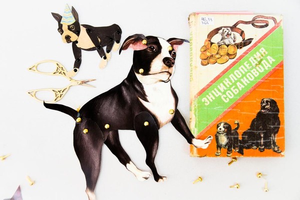 Экскурсия «Человек находит друга»