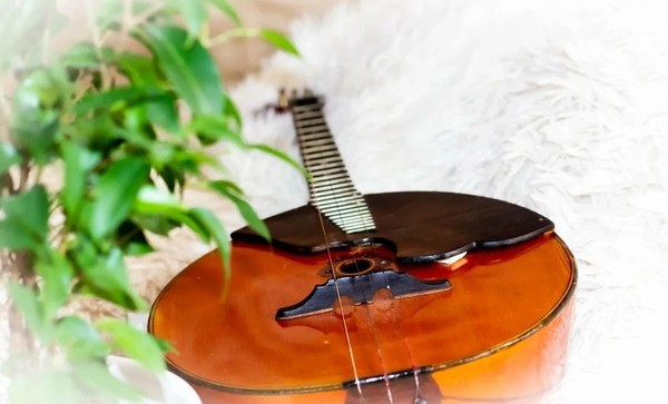 Привет, домра