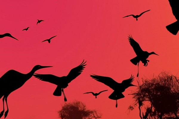 Симфонические хиты Феличита. Шедевры Челентано, Тото Кутуньо, Аль Бано, Поля Мориа, Стинга