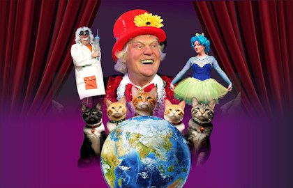 Коты спасают мир