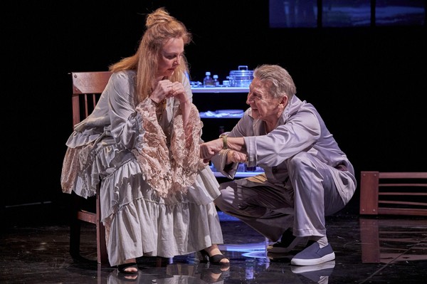 Спектакль «Папа. Адажио»