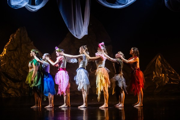 За завесой леса