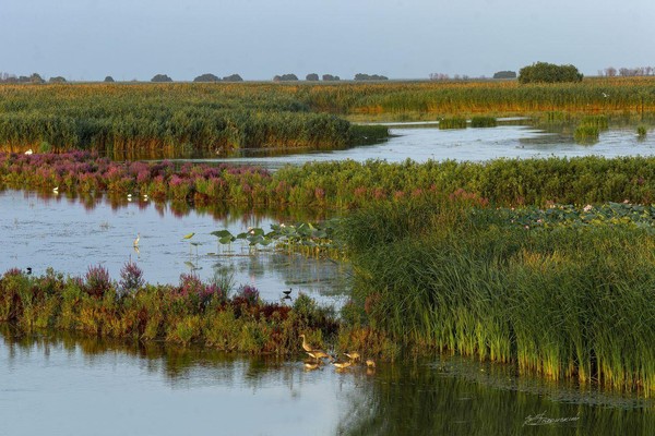 Фотовыставка «Фотограни-2025»