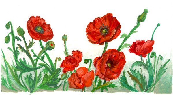 Серия занятий студии книжной графики «Ботанический атлас»