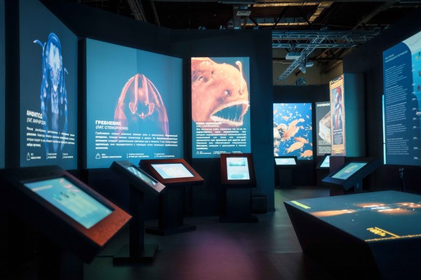 Планета Океан