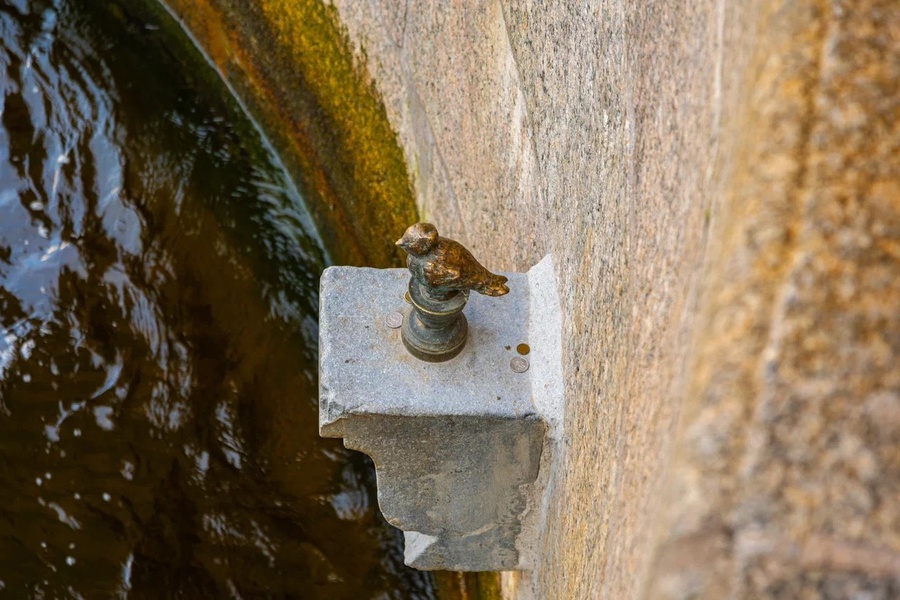 16.11 Бесплатная экскурсия - Тысяча и одна сказка Петербурга