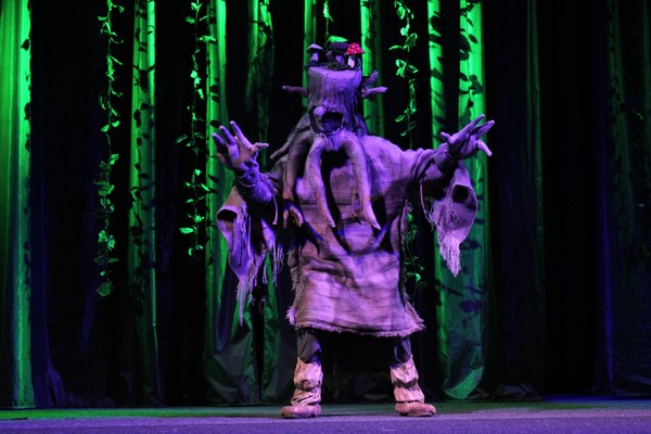 Спектакль «Царевна-лягушка»