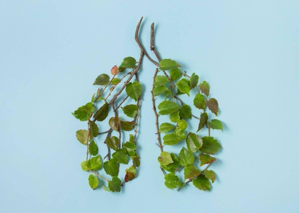 Акция «Международный день отказа от курения»