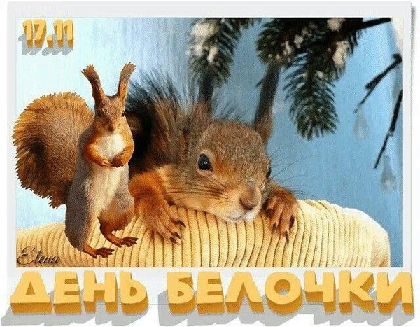 Мастер-класс «Мир белок в творчестве: создаем волшебство»