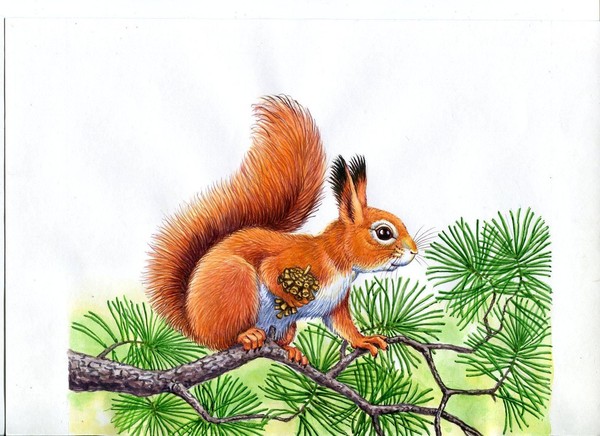 Мастер–класс «Белочка–Чародейка»