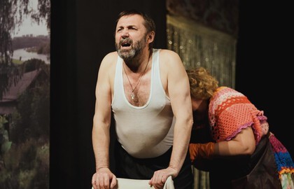 Извилины судьбы, или клюква в сахаре