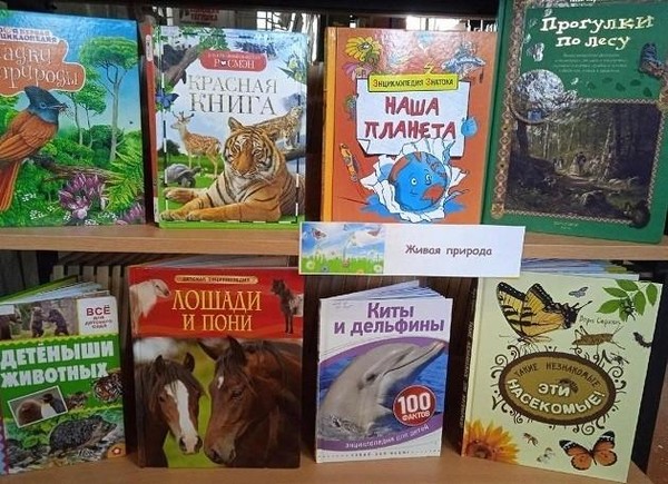 Игровая программа «В гостях у природы»