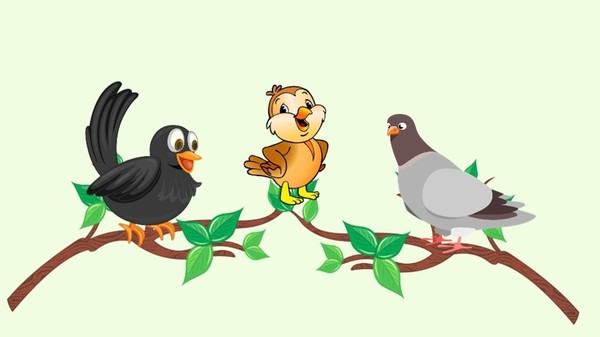 Мои пернатые друзья