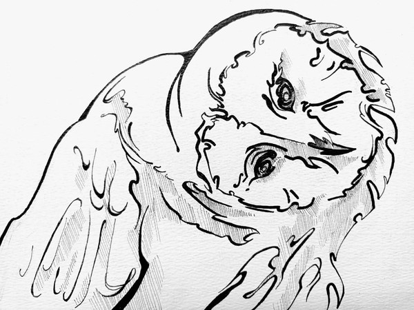 Мастер-класс «В белых перьях и черных линиях»