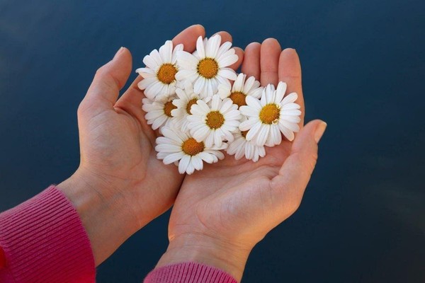 «Жизнь дана на добрые дела»: диалог дружбы