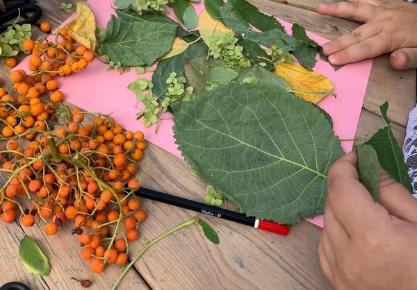 Мастер-класс по аппликации из сухих листьев