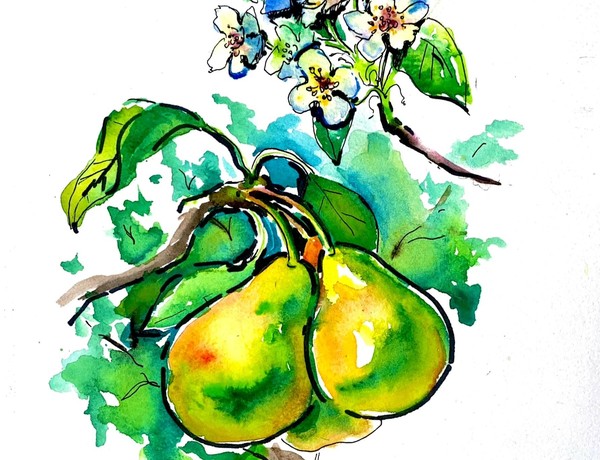 Дары земли моей