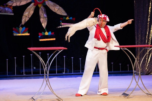 Дмитрий Куклачёв «Кото Бум»