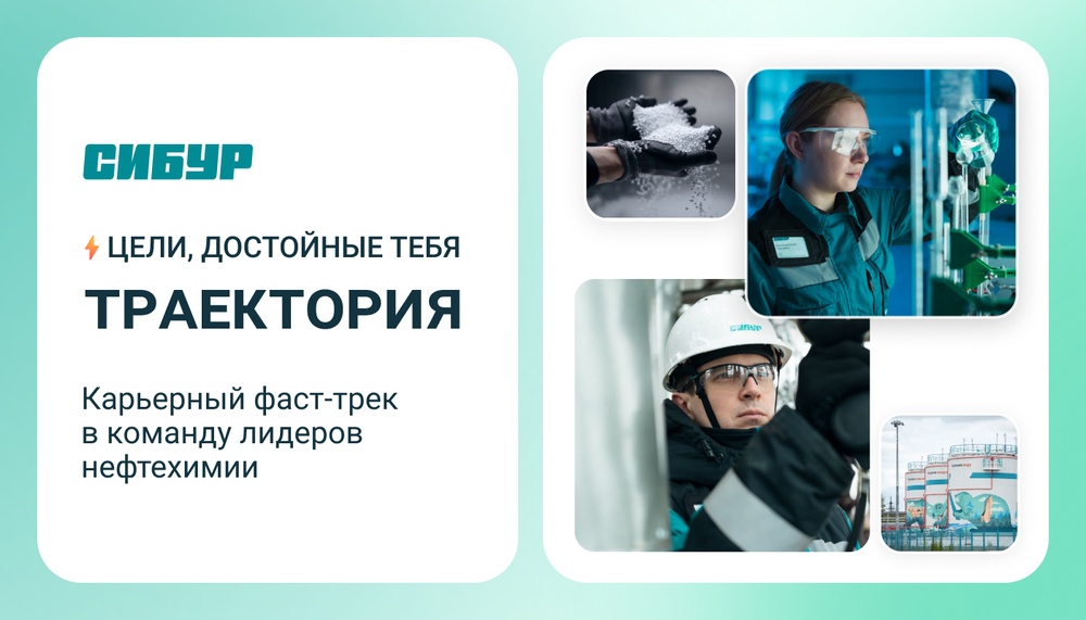 One Day Offer в Сибур