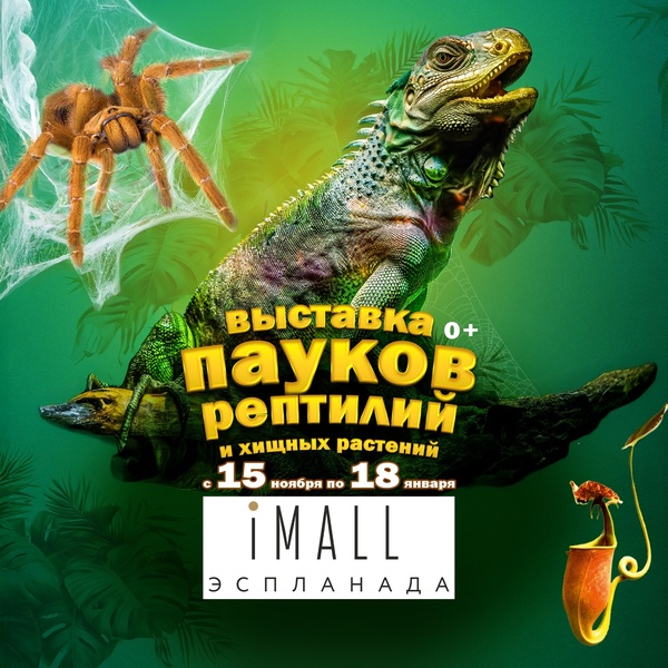 Выставка пауков | Паучья нора