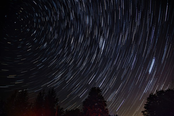 Динозавры. История выживших