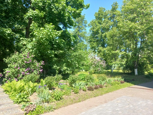 Экскурсия «Игры в музейном дворике»