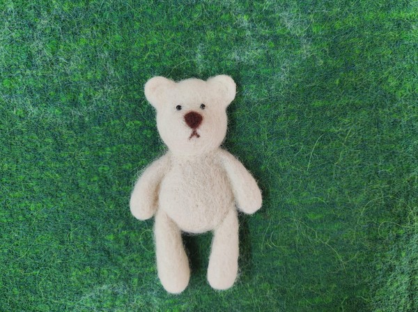 Мастер-класс по войлоковалянию