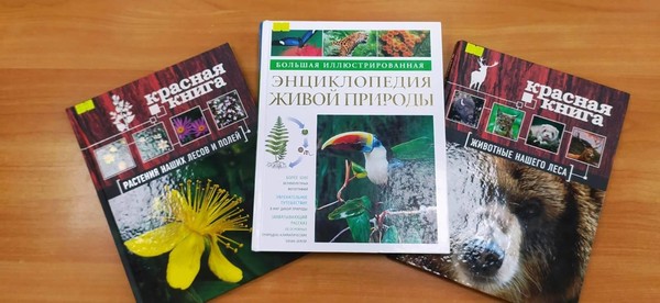 День информации «Сохраним природу вместе»