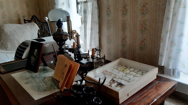 Экскурсия «Семья Павловых: воспитание великого ученого»