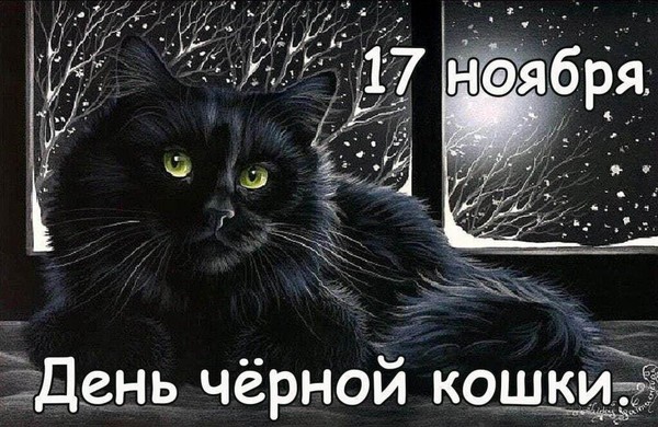 Котопутешествие «Кис-брысь или мурлыкины проблемы»