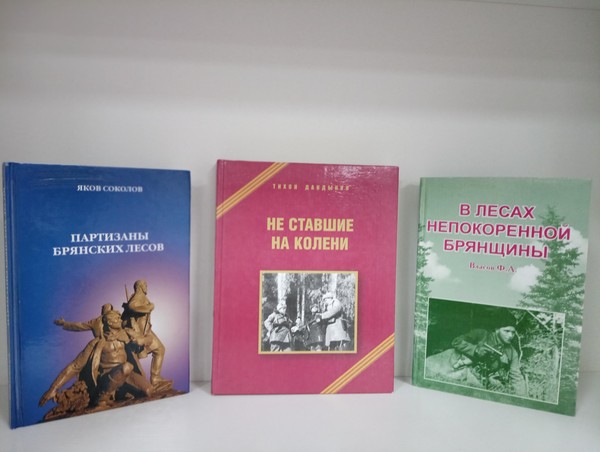 Краеведческий час «Твои герои Брянщина»
