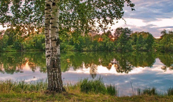 «Край любимый, край родной»