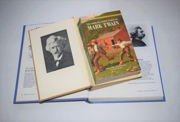 Культурно-просветительская акция «Известный и неизвестный Марк Твен»