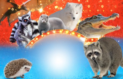 Фантастические твари