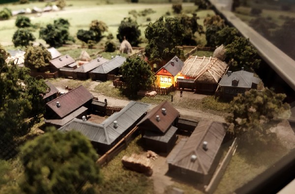 Выставка «В гостях у В. И. Чапаева»