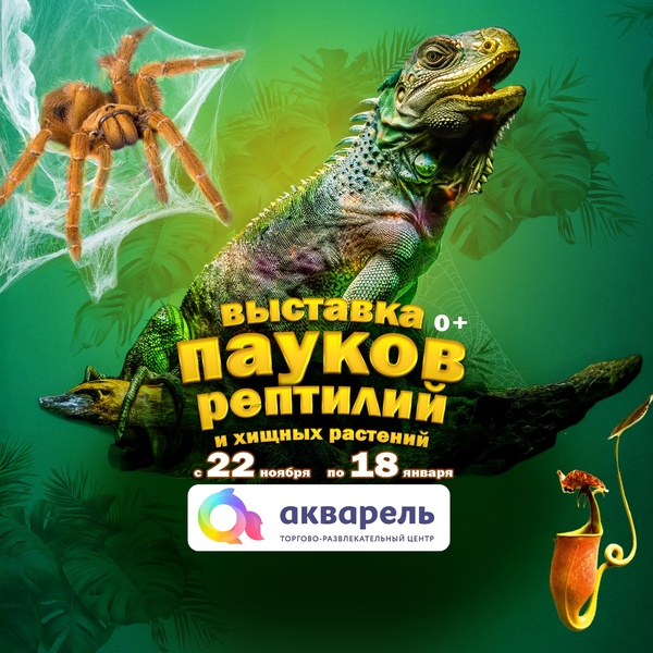 Выставка пауков «Тайна паутины»