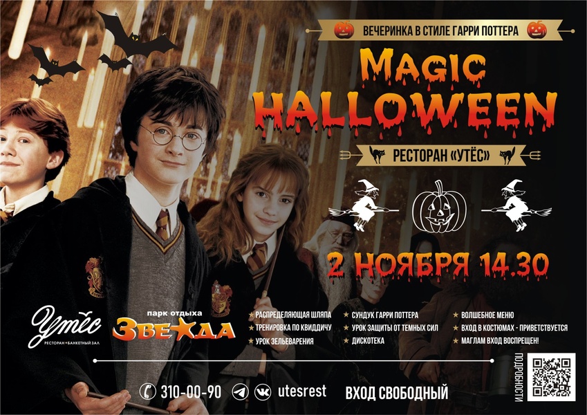 2.11 Halloween в стиле Гарри Поттера